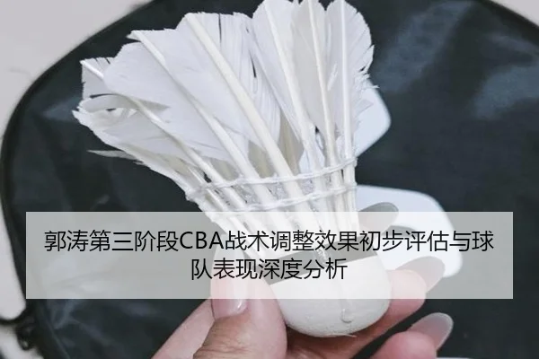 guo-tao-di-san-jie-duan-zhan-shu-tiao-zheng-xiao-guo-chu-bu-ping-gu-yu-qiu-dui-biao-xian-shen-du-fen-xi-2-584.jpg
