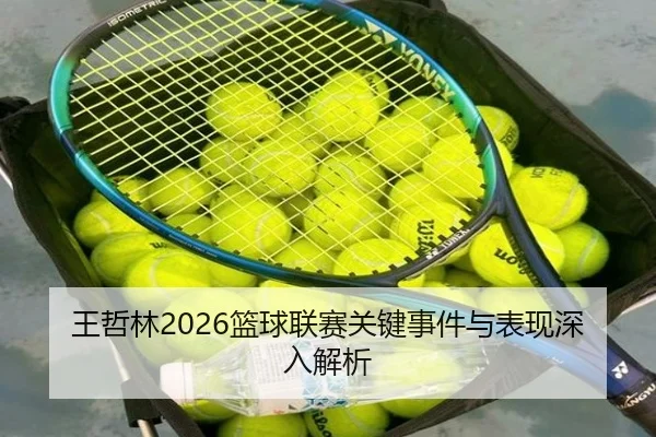 wang-zhe-lin-lan-qiu-lian-sai-guan-jian-shi-jian-yu-biao-xian-shen-ru-jie-xi-2-503.jpg
