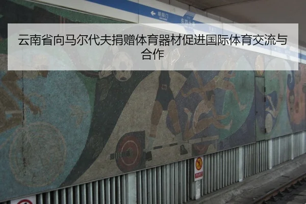 云南省向马尔代夫捐赠体育器材促进国际体育交流与合作